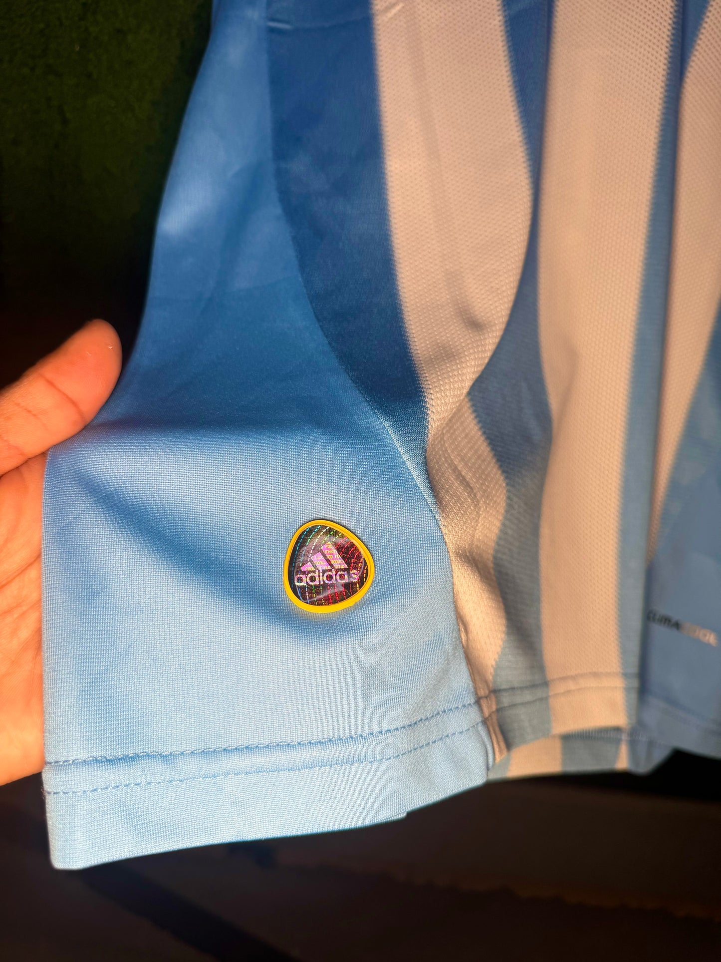 Argentina 2010 world cup