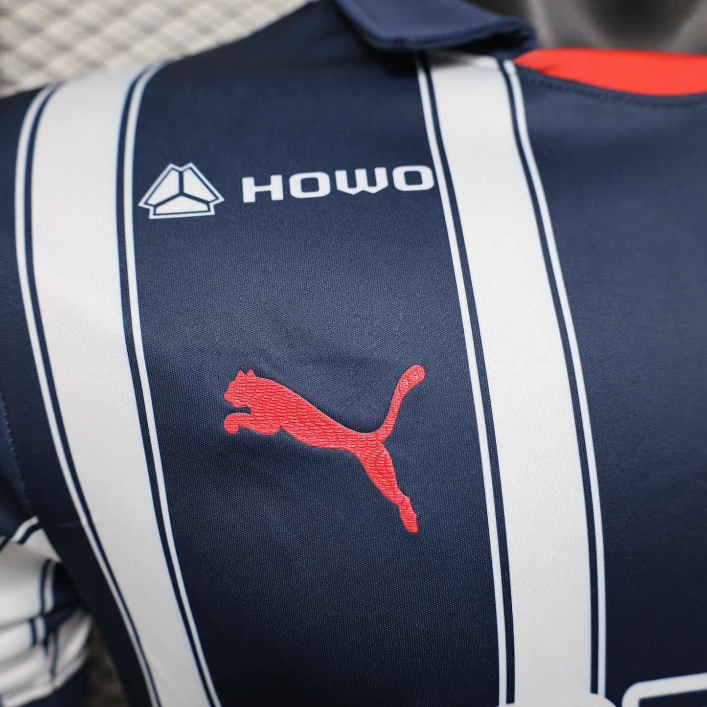 Rayados de Monterrey 24/25 Home jersey