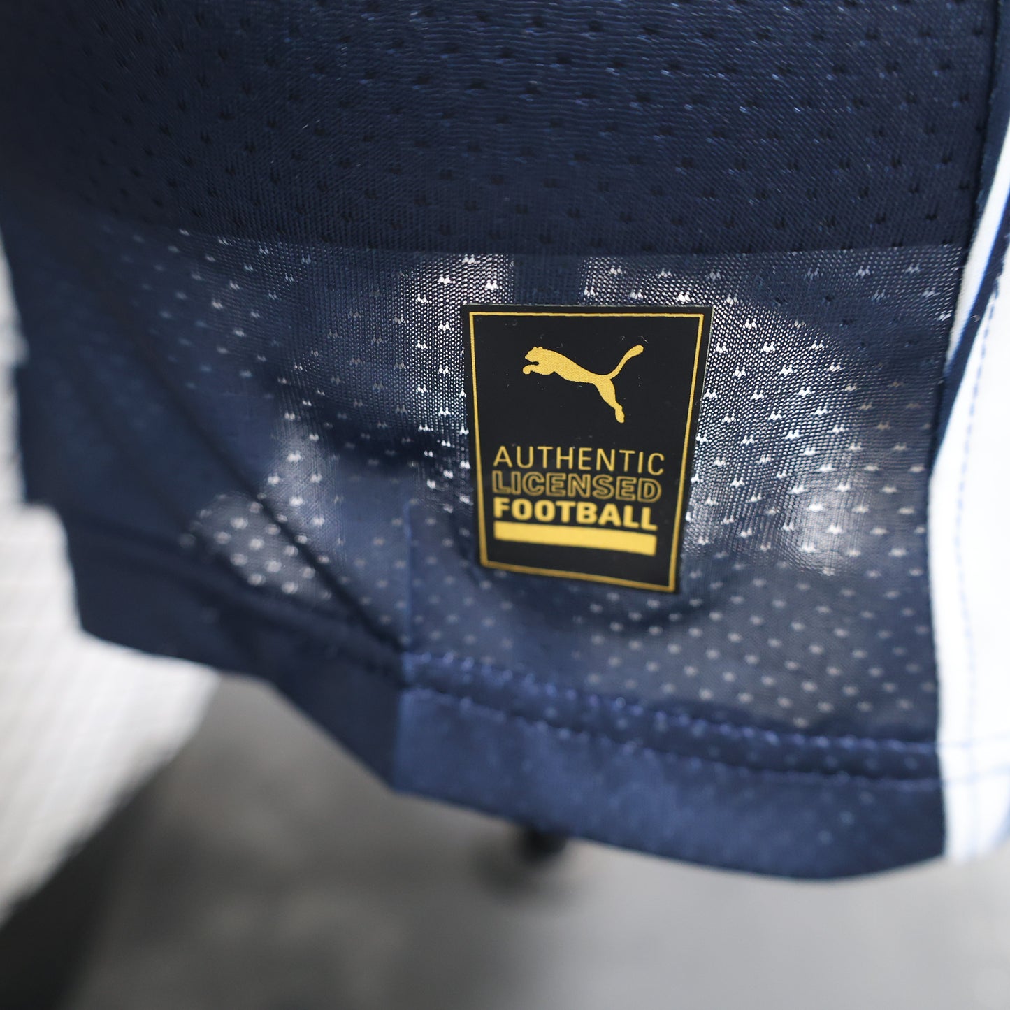 Rayados de Monterrey 24/25 Home jersey